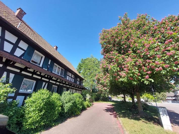 Casa de Férias 'Am Rinnbach, 240 m²' com Wi-Fi in Rheinau, Central Black Forest