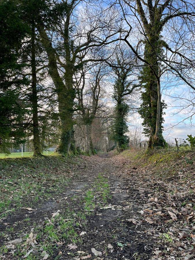 Location de vacances pour 2 personnes, avec jacuzzi ainsi que balcon et sauna à Saint-Pois - 2