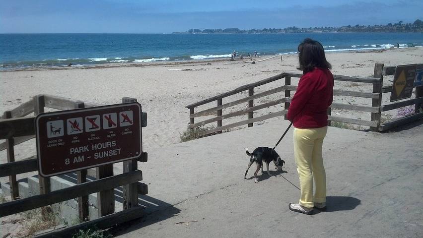 Vacation rental for 6 people, with hot tub and terrace, with pets in San Francisco Bay Area