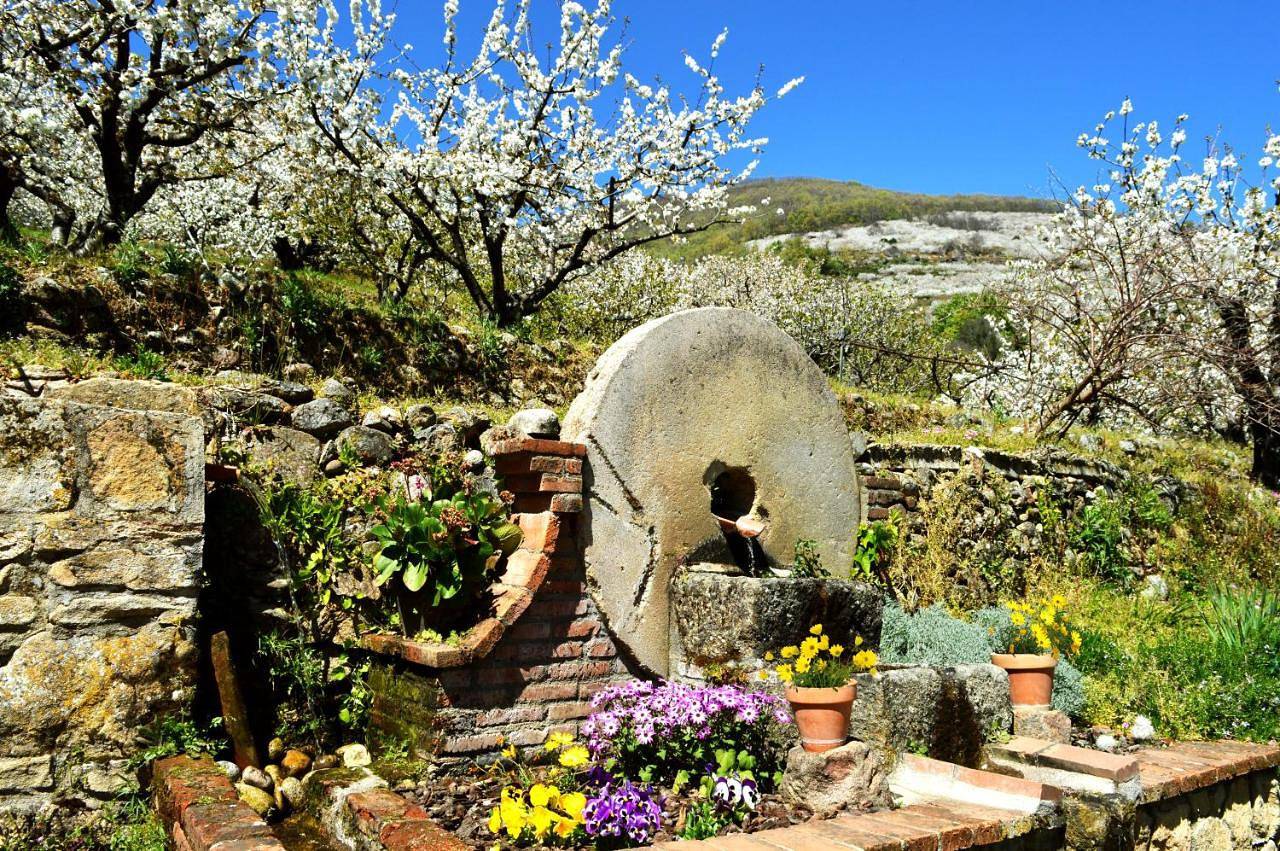 Casa Valeriana in Navaconcejo, Valle del Jerte