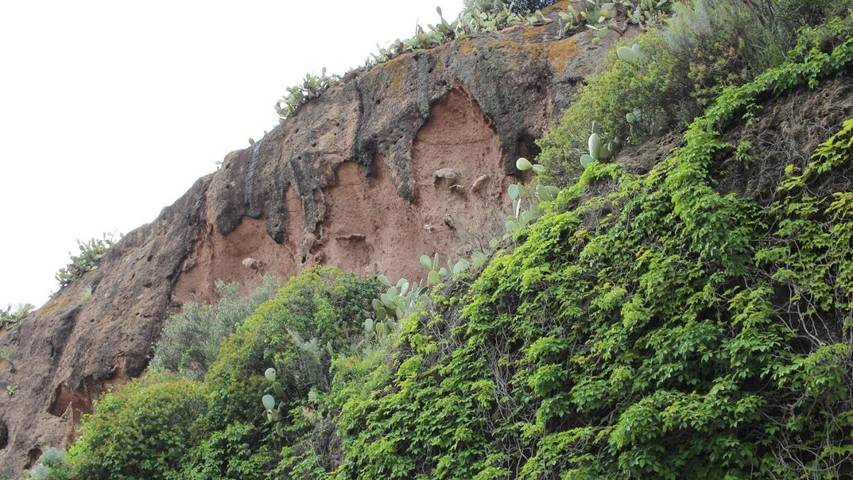 Chambre d’hôte pour 3 personnes, avec balcon et vue à Bosa - 2