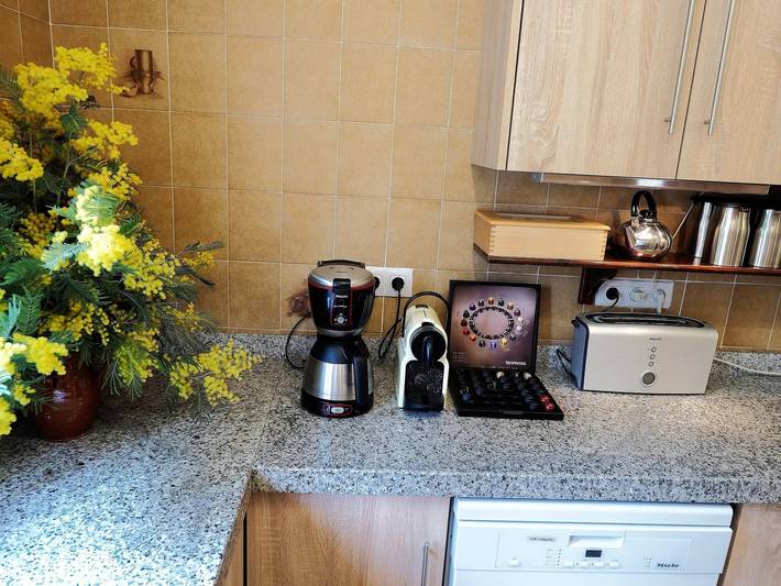 Casa rural para 8 personas, con piscina y terraza, Se admiten mascotas en Santa Cristina de Aro - 3