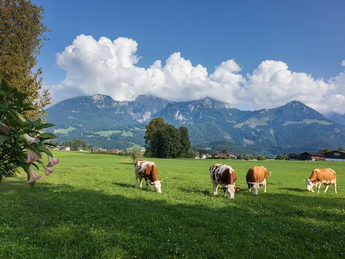 Ferienhaus für 2 Personen, mit Balkon und Terrasse sowie Garten und Ausblick in Schönau am Königssee - 3