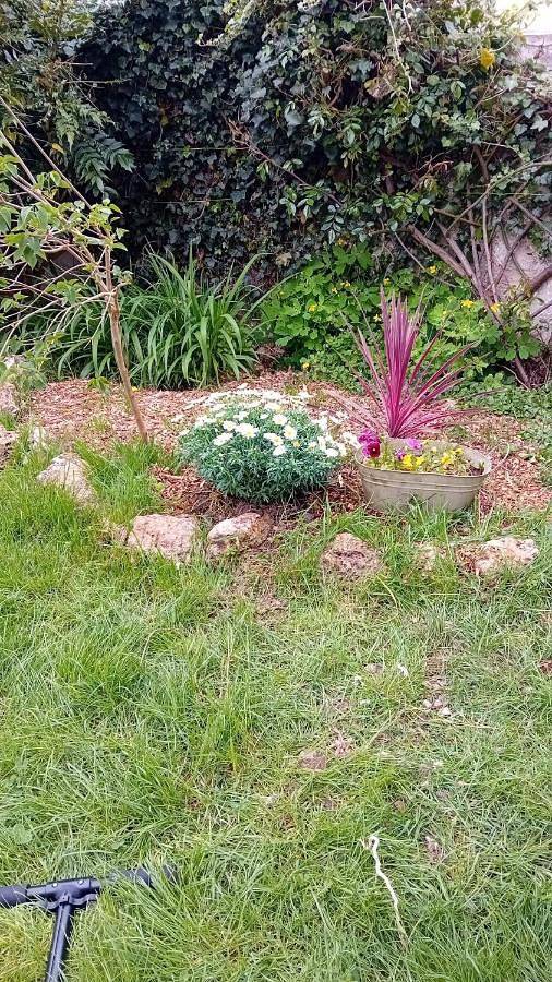 Gîte pour 2 personnes, avec vue et jardin, animaux acceptés à Plaisir (Yvelines) - 2