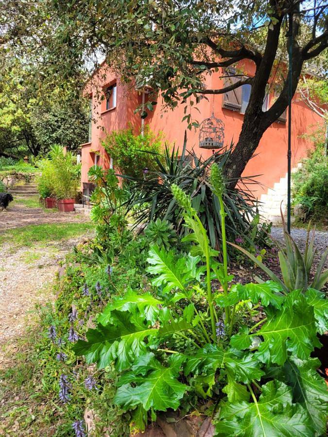 Gîte pour 2 personnes, avec terrasse et jardin à Puget-Ville - 2