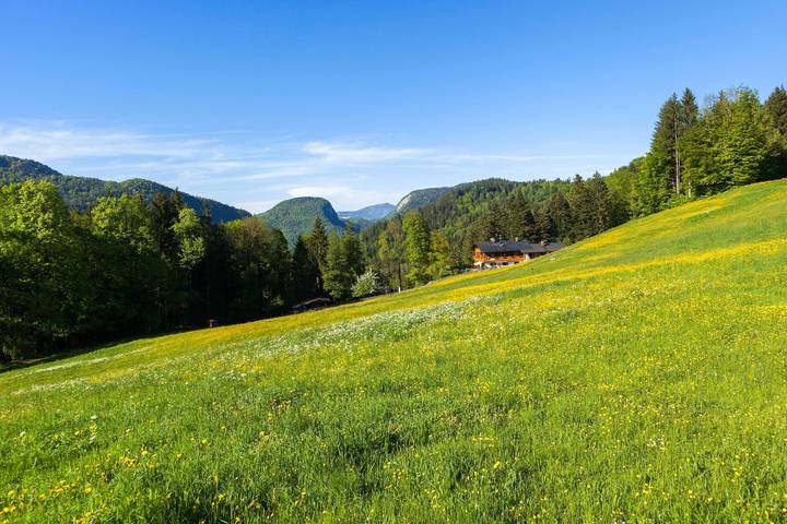 Ferienwohnung für 3 Personen, mit Balkon und Garten im Berchtesgadener Land - 4