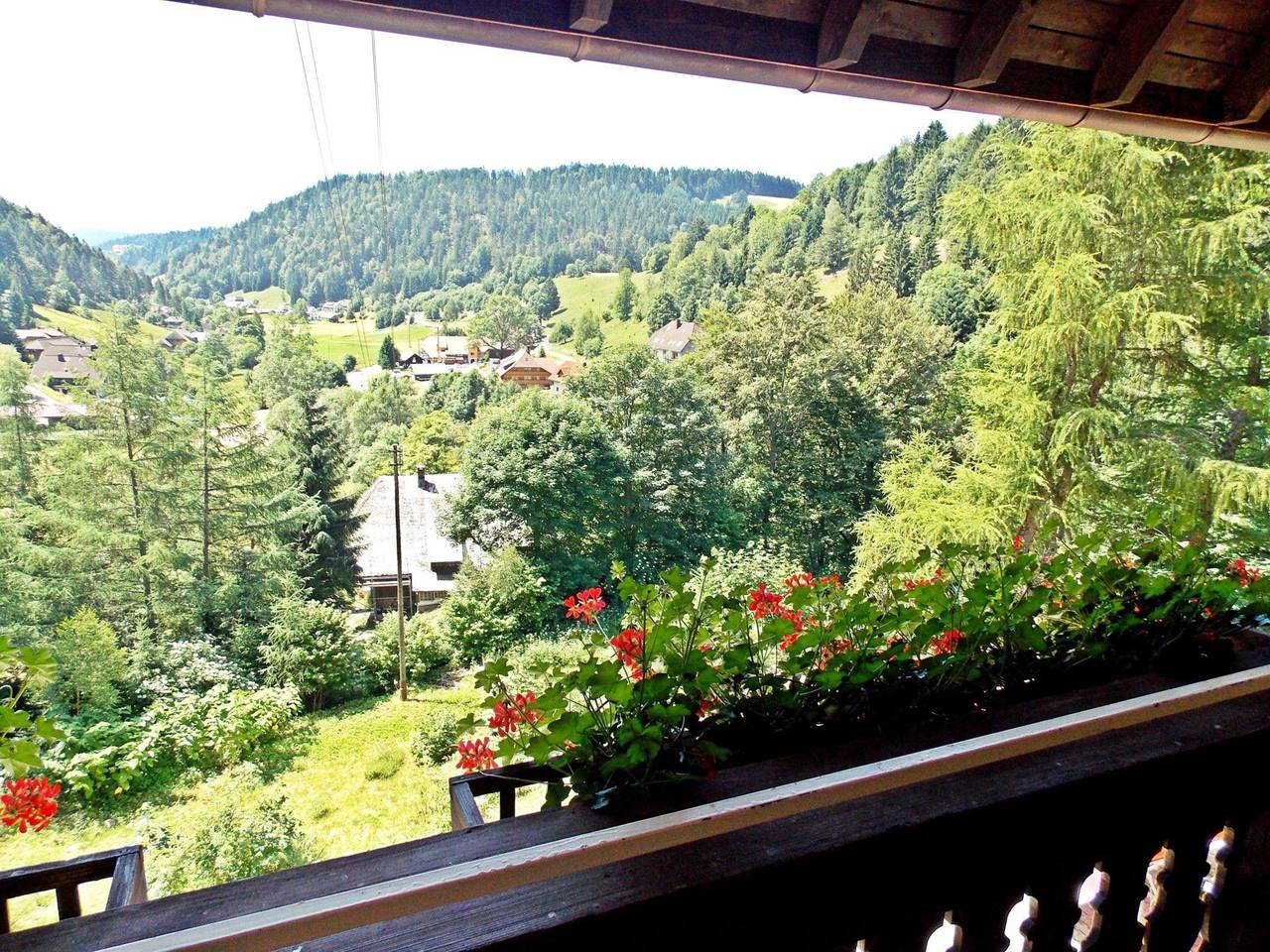 Gruppenhaus im Schwarzwaldstil in Waldrandlage in Todtmoos - Hintertodtmoos, Todtmoos