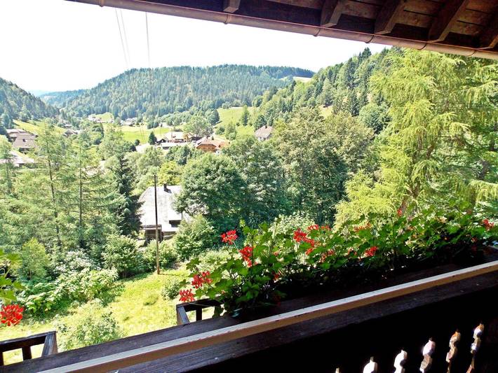 Gruppenhaus im Schwarzwaldstil in Waldrandlage in Todtmoos - Hintertodtmoos, Todtmoos