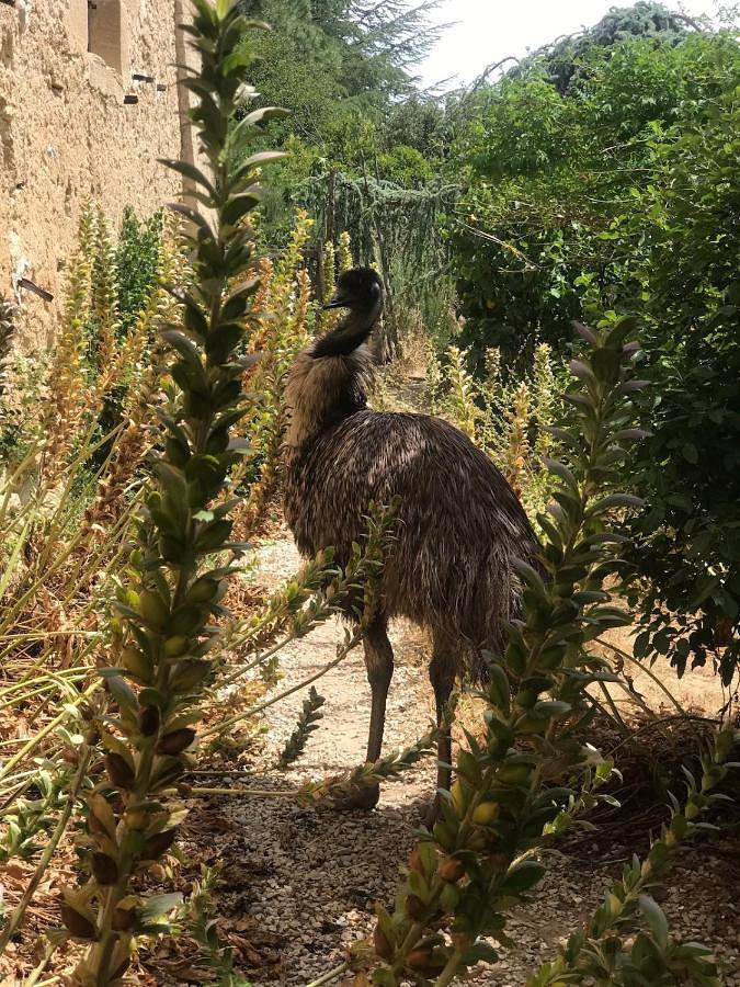 Appartement de vacances entier, Le lieu unique in La Tour-d'Aigues, Parc naturel régional du Luberon