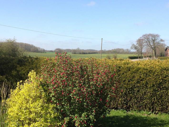 Ferienhaus für 5 Personen, mit Terrasse und Garten, mit Haustier in Hasselberg - 3