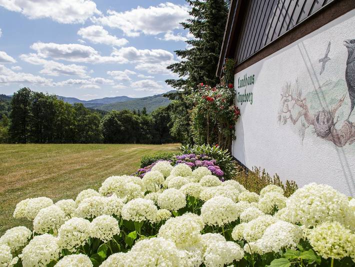 Ferienwohnung für 5 Personen, mit Garten und Balkon, kinderfreundlich in Poppenhausen - 3