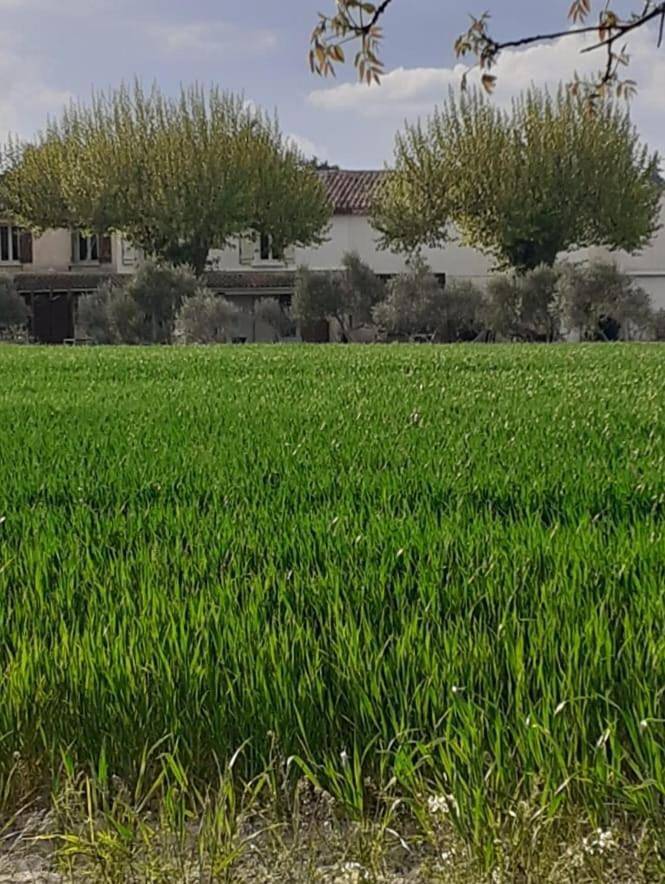 Location de vacances pour 7 personnes, avec vue et jardin à Sénas - 4