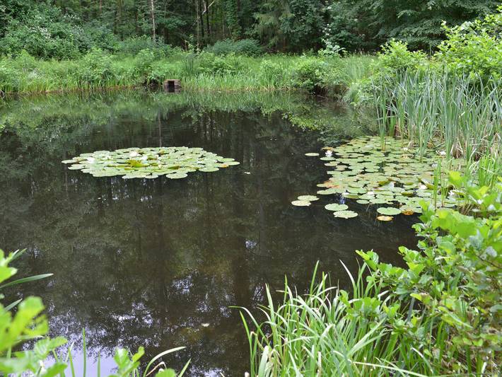 Ferienwohnung für 3 Personen, mit Garten, kinderfreundlich in Soltau - 3