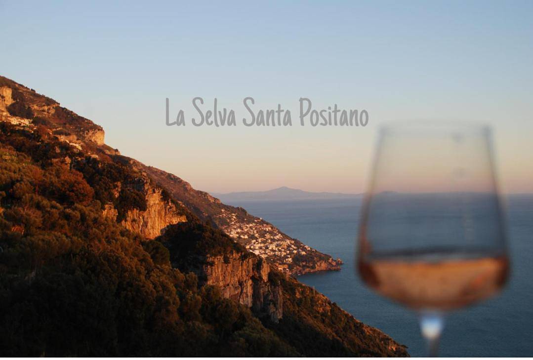 B&B La Selva Santa in Positano, Sorrento Coast