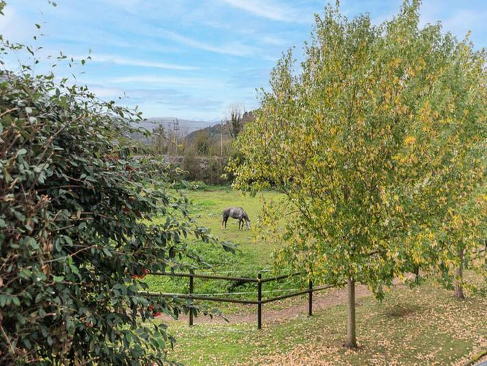Casa rural para 10 personas, con jardín en Besaya - 4