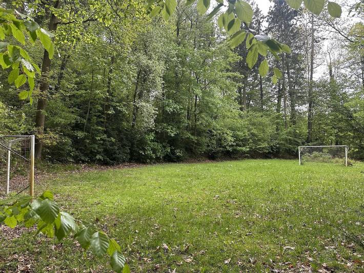 Ganze Ferienwohnung, Ferienwohnungen Brodhun - Ferienwohnung Helleberg, 1 Schlafraum in Bad Gottleuba-Berggießhübel, Elbsandsteingebirge
