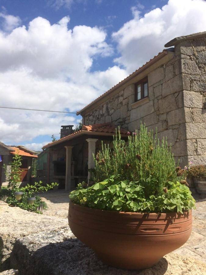 Maison de campagne pour 7 personnes, avec jardin ainsi que piscine et vue, animaux acceptés dans Riba de Mouro - 4