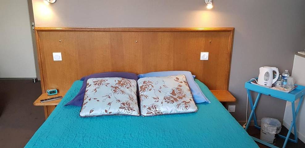 Hôtel pour 3 personnes, avec vue et terrasse, animaux acceptés à Martizay - 2