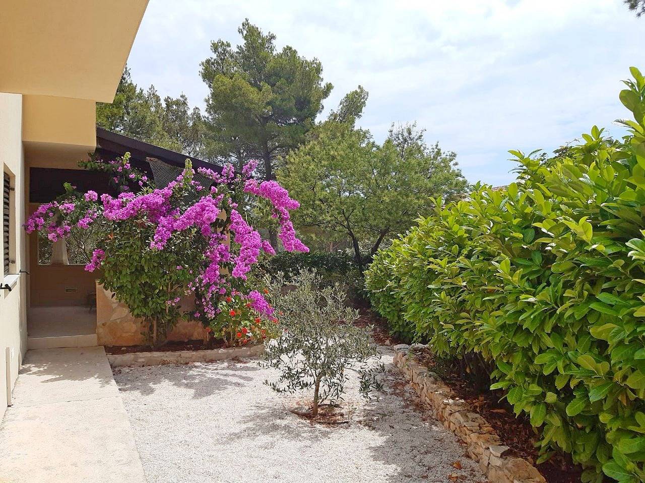 Ganze Wohnung, Apartman s terasom in Milna, Brac