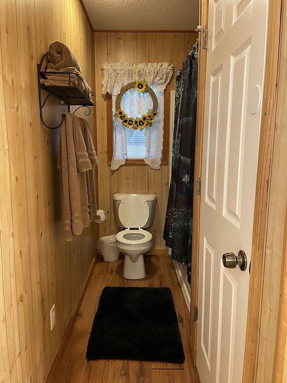 1 Playful Cub-Great unbelievable rates, check it out in Cosby (TN), Cocke County