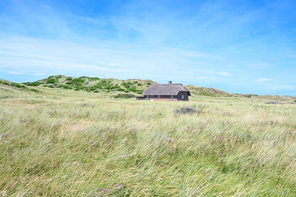Living directly in the dunes on the North Sea beach on a 12,000 sqm plot in Husby, Région de Holstebro