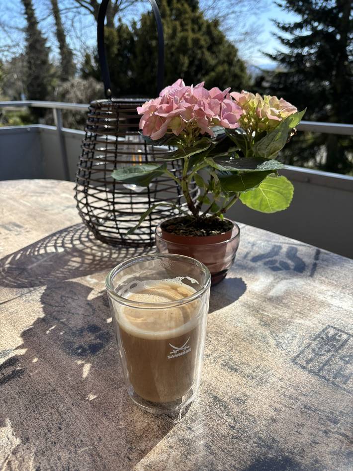 Ferienwohnung für 6 Personen, mit Seeblick und Garten in Obersee (Bodensee) - 4