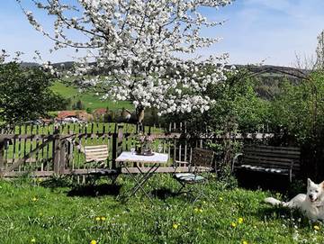 Bauernhof für 3 Personen in Oberwang, Oberösterreich, Bild 1