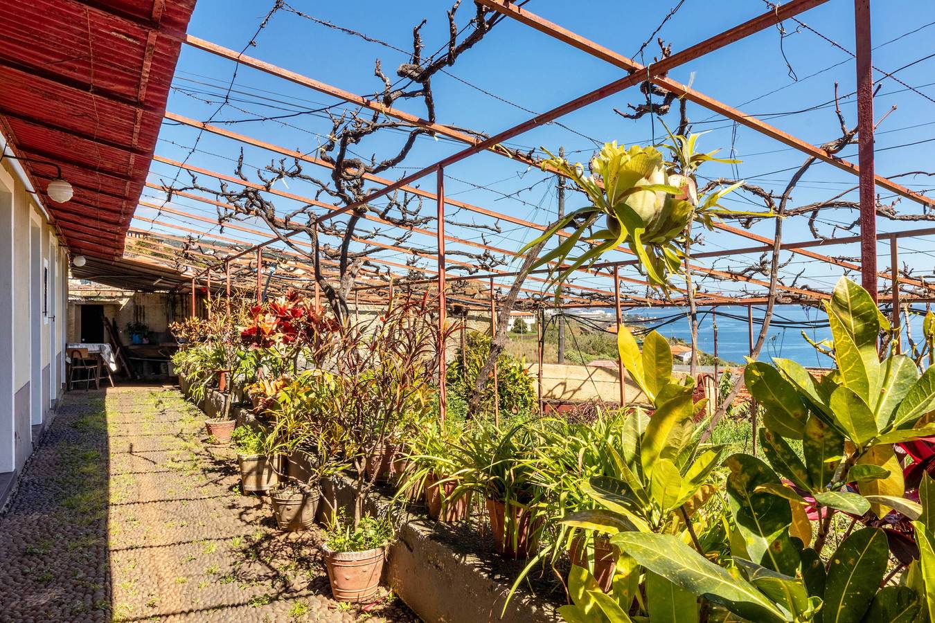 Chalet "Casa Do Boto" with Sea View, Private Terrace & Garden in Gaula, Madeira