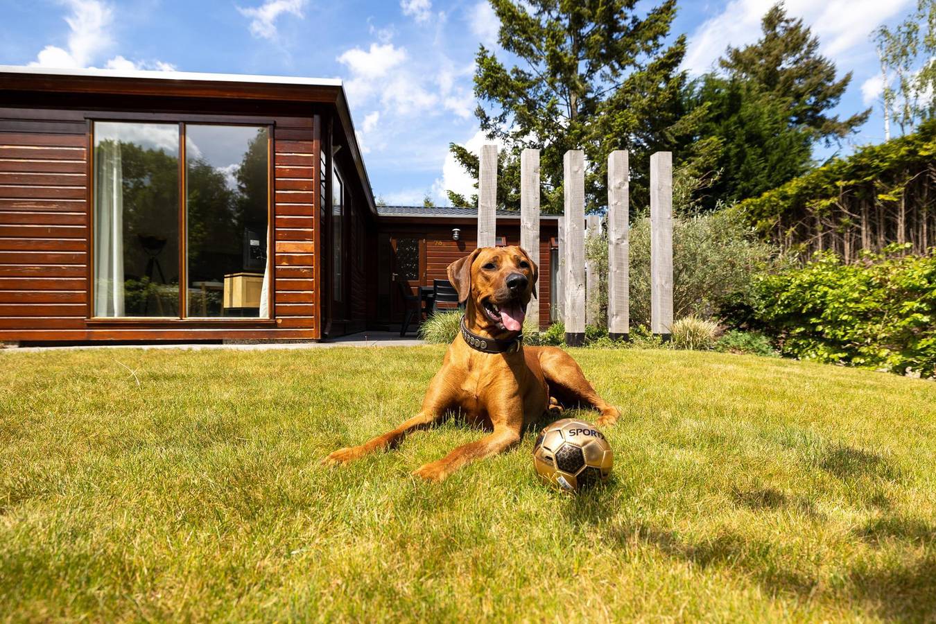 Bungalowpark Het Verscholen Dorp — Cozy Lodge | 5 persons in Harderwijk, Veluwe