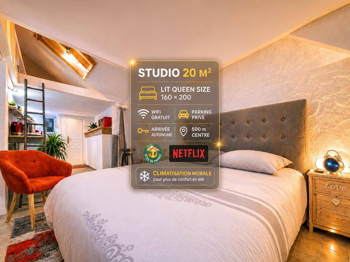 Appartement entier, Studio atypique, Climatisation, Lit 160 x 200, Netflix, parking, 500m centre - Gîtes La Tarine - Label Gîte De France in Albertville, Région d'Albertville