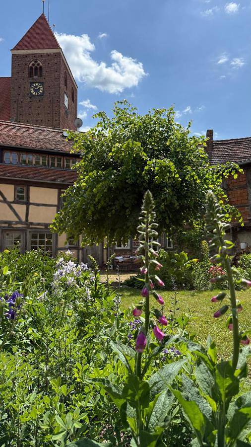 Ferienhaus St. Johannis in Werben (Elbe), Westhavelland