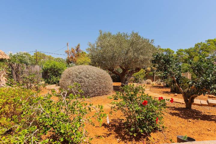 Casa de vacaciones para 4 personas, con jardín en Mallorca - 4