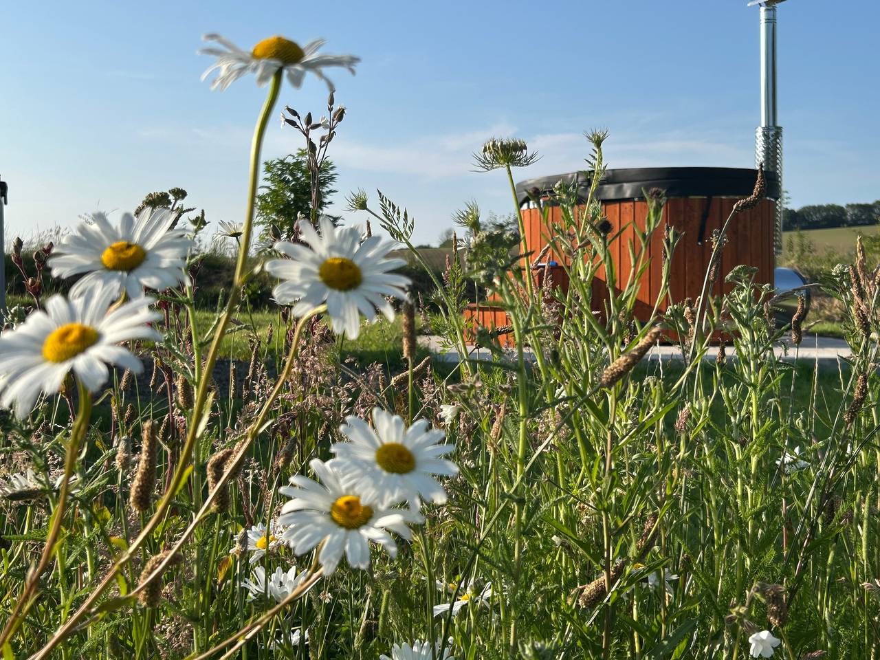 Cosy Luxury Owls Roost Hut with Private Hot Tub in Chittlehampton, Devon