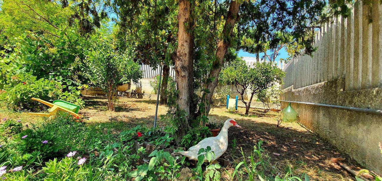 Three-Bedroom Villa in Francavilla al Mare, Chieti Provinz