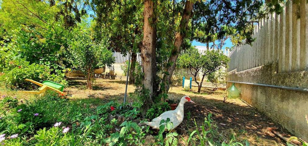 Three-Bedroom Villa in Francavilla al Mare, Chieti Provinz