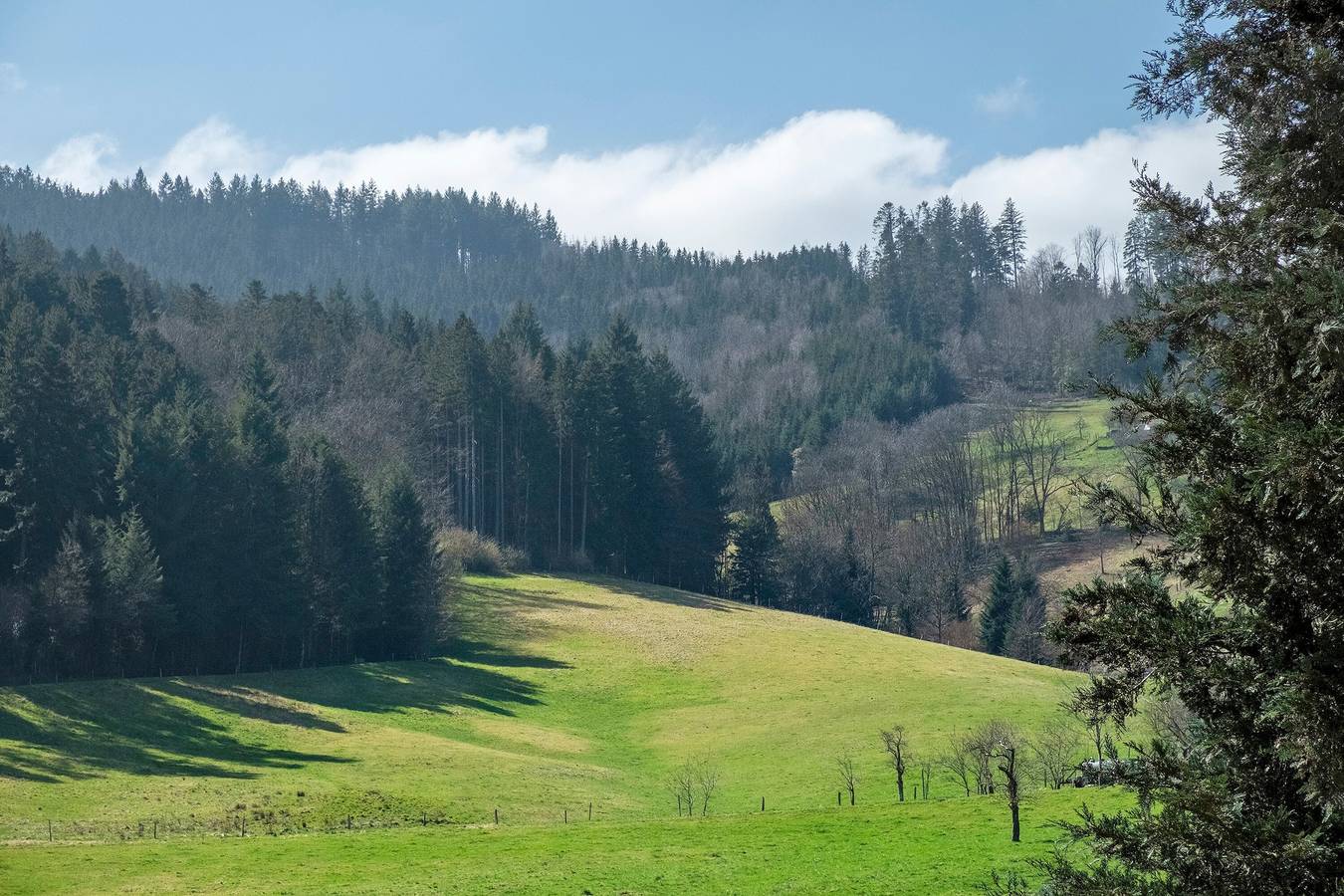 Ganze Wohnung, Ferienwohnung Bergquelle mit Bergblick, privater Terrasse und Wi-Fi in Kirchzarten, Südschwarzwald