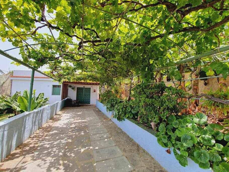 Two-Bedroom House in Garachico, Tenerife Norte
