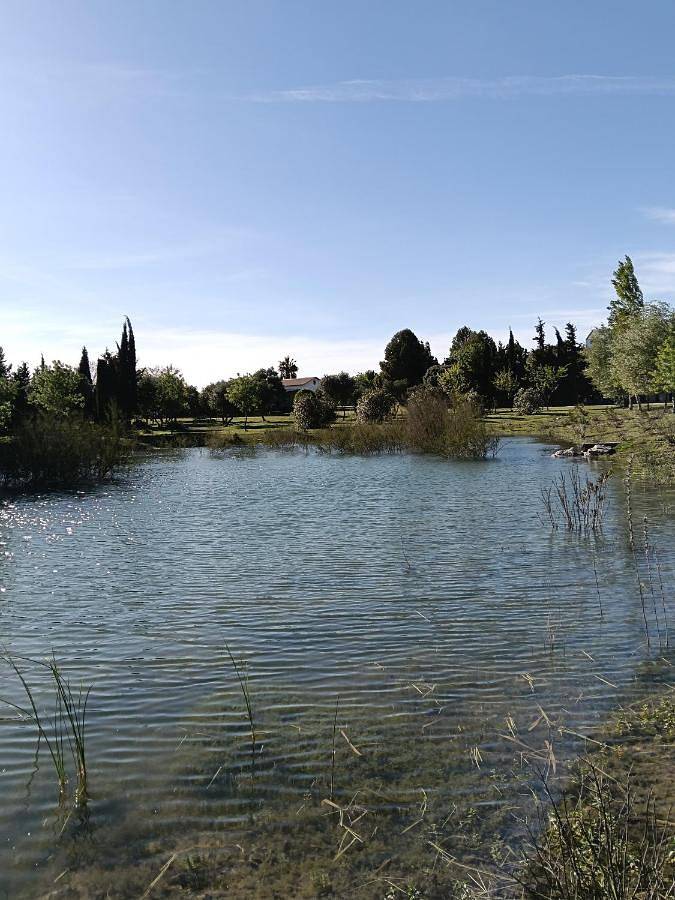 Casa rural para 6 personas, con Terraza y Jardín además de Piscina y Vistas al lago en Algar - 3