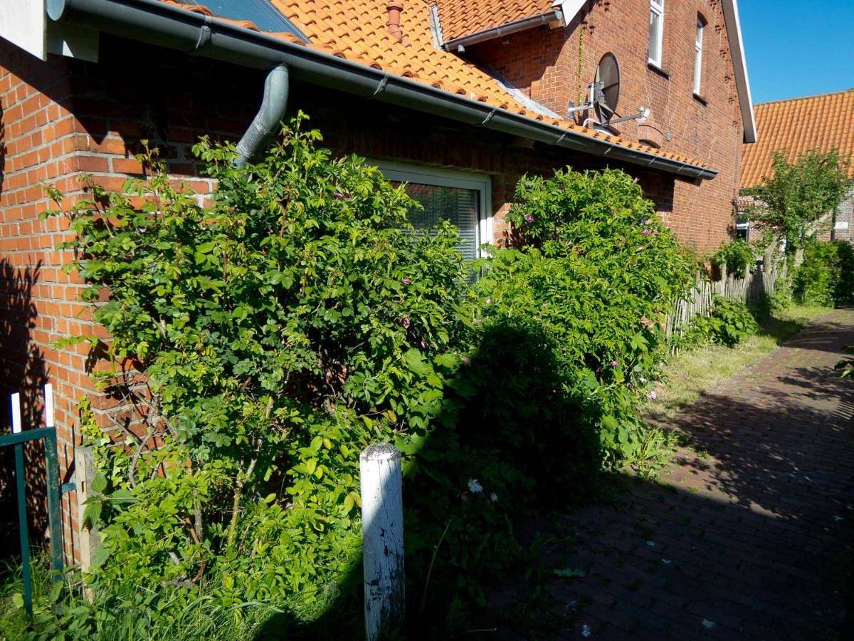 Lüttje Teihn in Pilsum, Krummhörn