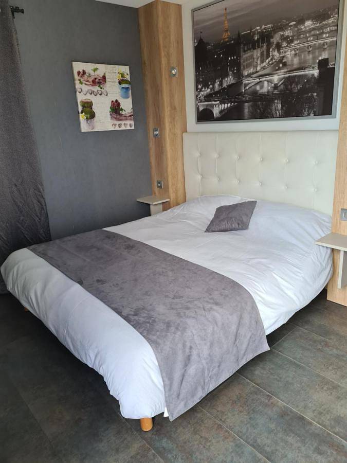 Hôtel pour 3 personnes, avec terrasse à Chanas - 3