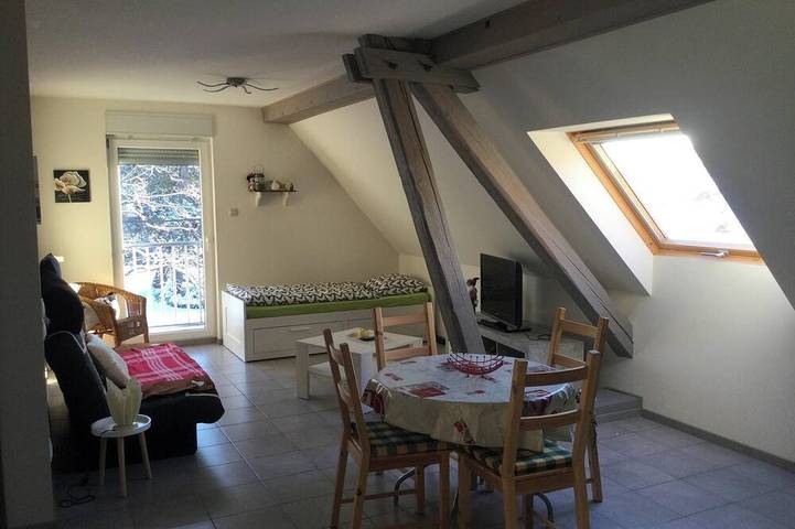 Gîte pour 4 personnes, animaux acceptés à Lohr (homonymie)
