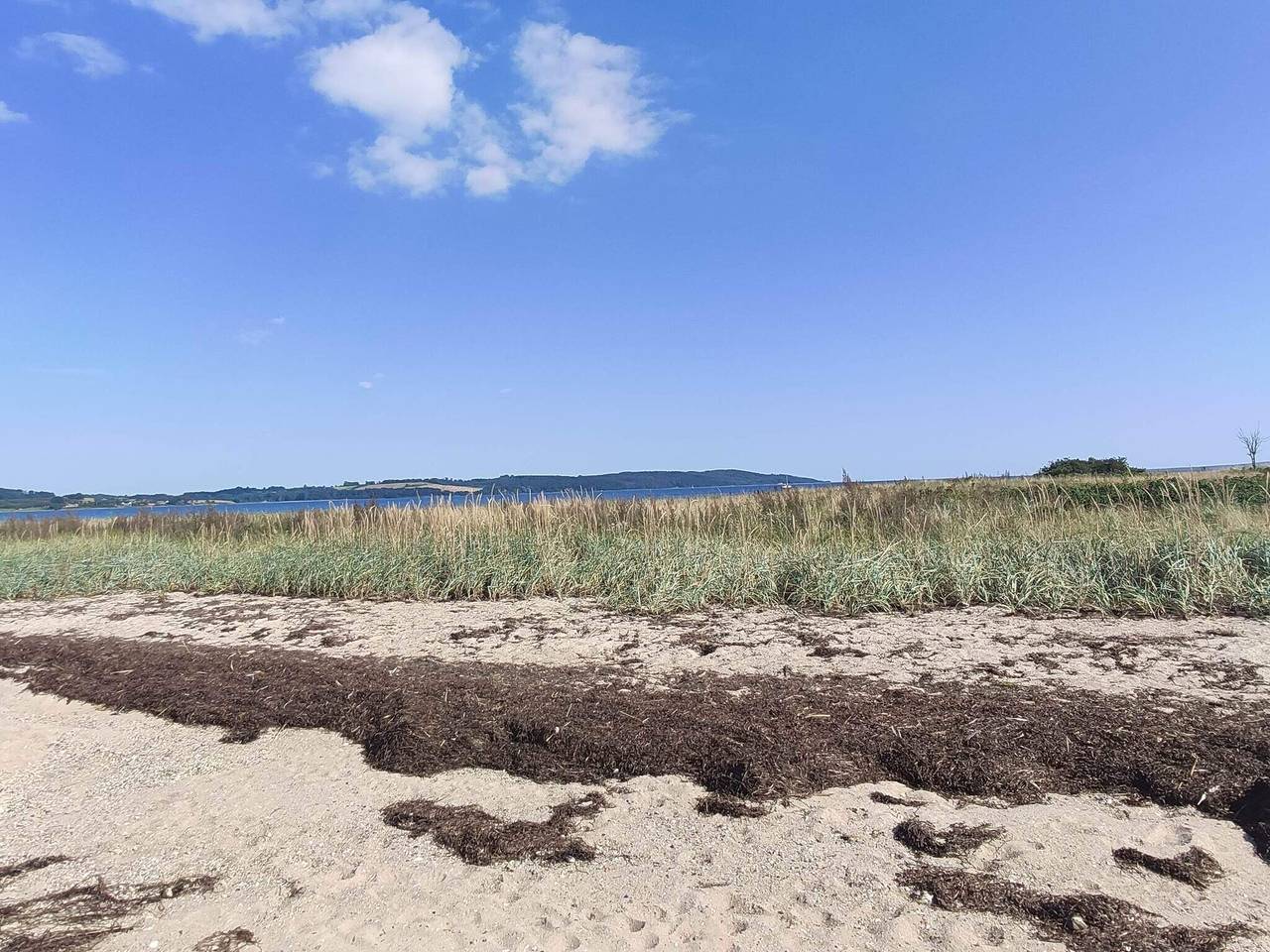 Gemutliches Refugium am Strand -- By Traum Ferienwohnungen in Andkær, Børkop