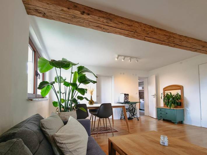 Gîte pour 4 personnes, avec jardin et vue, animaux acceptés à Neustadt bei Coburg - 4