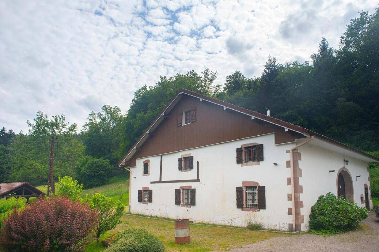Five-Bedroom House in Dommartin-lès-Remiremont, Région d'Épinal