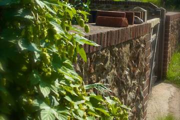 Cottage for 2 People in Guildford, Surrey Hills, Photo 3