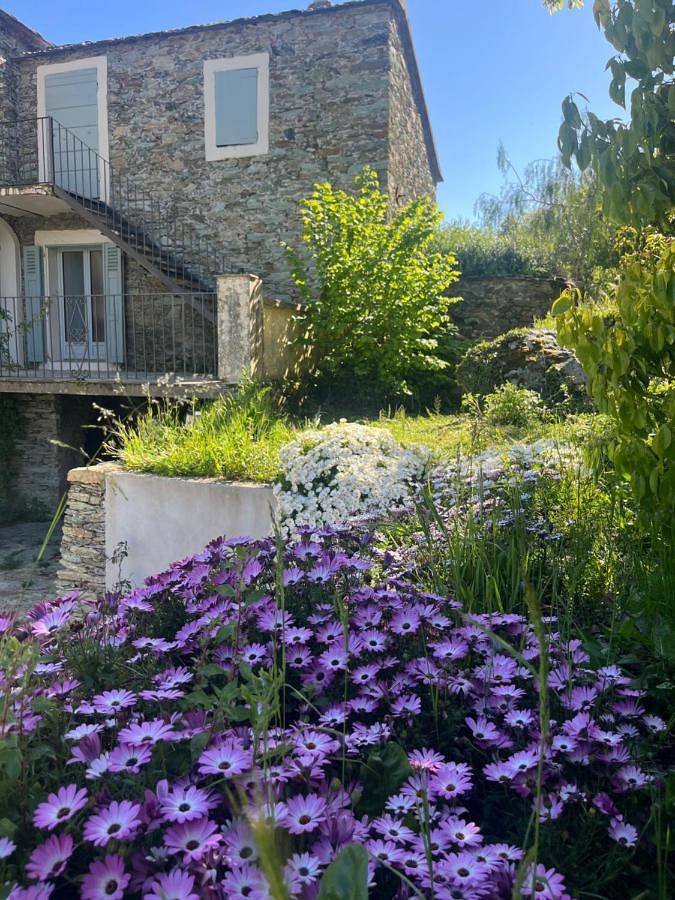 Maison de campagne pour 6 personnes, avec jardin ainsi que vue et piscine à Murato - 3