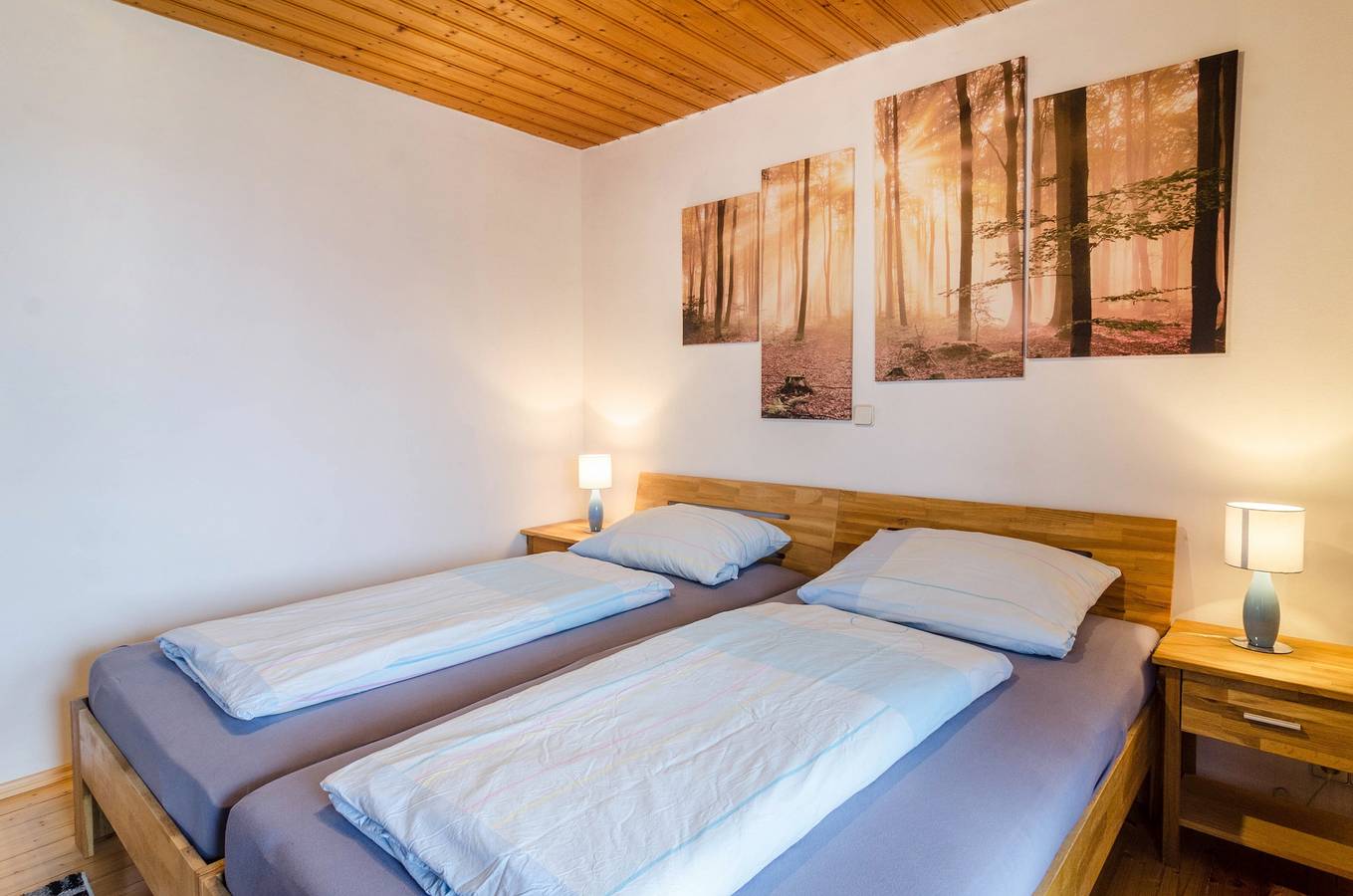 Ganze Wohnung, Ferienwohnung "Nicole" mit Seeblick, Balkon und Wlan in Bodman-Ludwigshafen, Obersee (Bodensee)