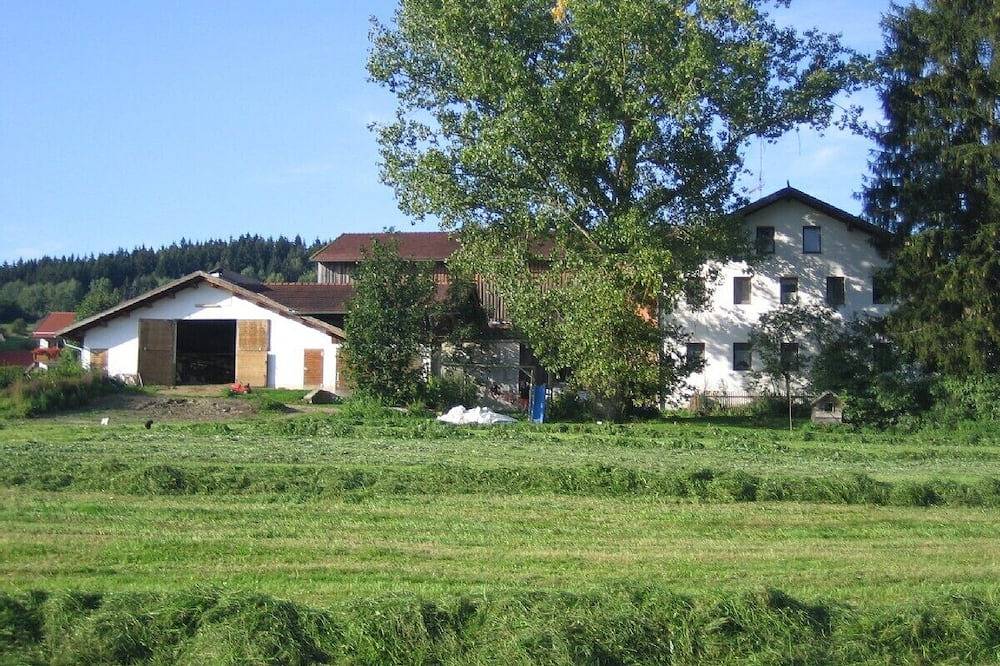 Ferienhaus zum Entspannen, viel Platz zum toben und spielen, Haustier willkommen in Kirchberg im Wald, Ostbayern