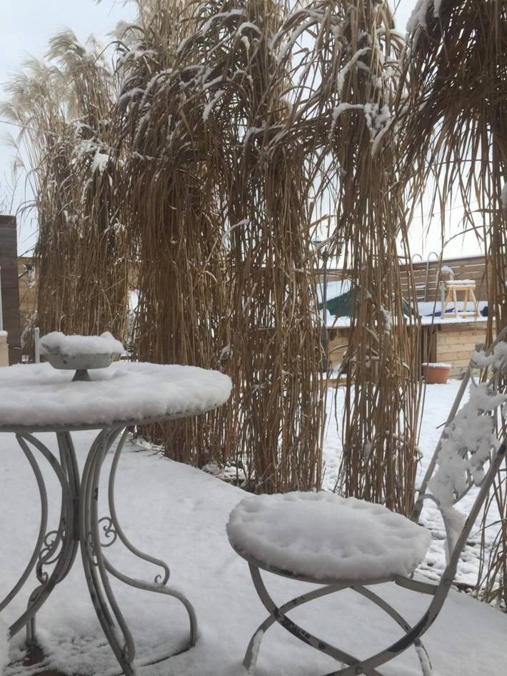 Chambre d’hôte pour 2 personnes, avec piscine ainsi que jardin et jacuzzi en Suisse - 4