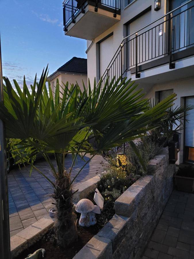 Chambre d’hôte pour 2 personnes, avec terrasse et vue à Rust - 2